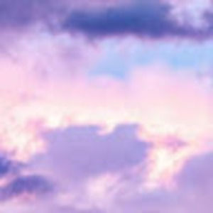 Meet your Posher, Emerson p